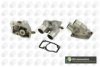 GM 1338092 Thermostat, coolant